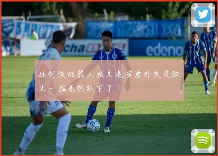 独行侠机器人功夫表演意外失灵欧文一推竟然趴下了