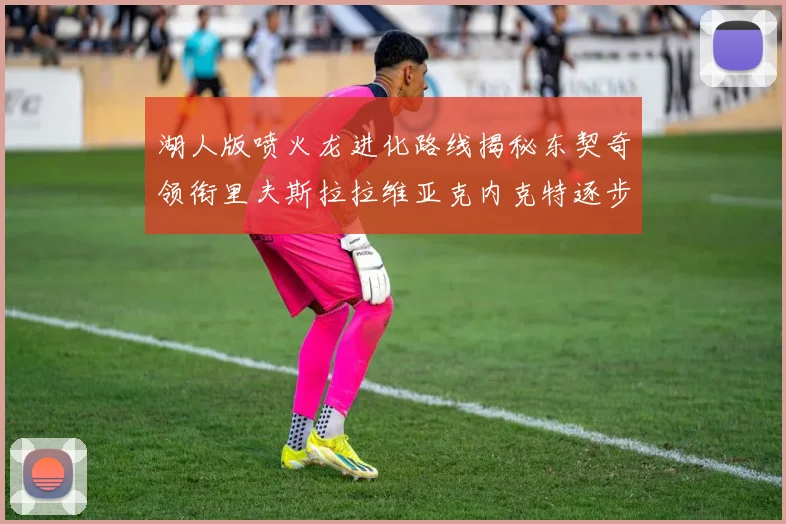 湖人版喷火龙进化路线揭秘东契奇领衔里夫斯拉拉维亚克内克特逐步崛起