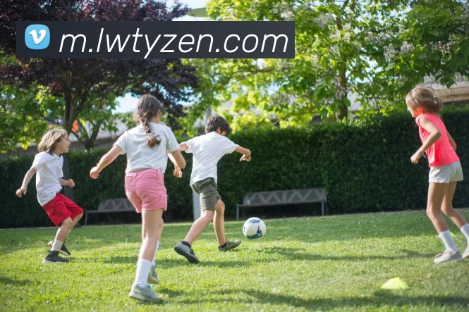 多媒体互动体验