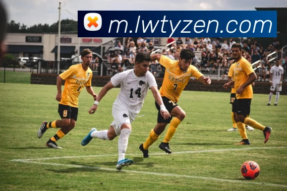 数据防护可视化